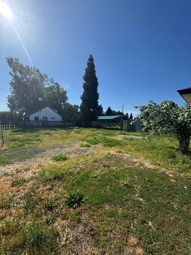 Building Photo - 3 bed 1 bath with large back yard - sewer ...