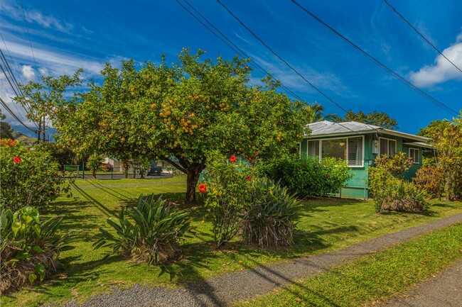 Building Photo - Downtown Hanalei, walk to town and beach, ...