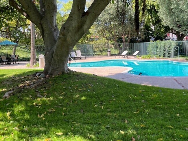 Building Photo - Top floor, 1 Bedroom, 1 Bath Condo in Ston...
