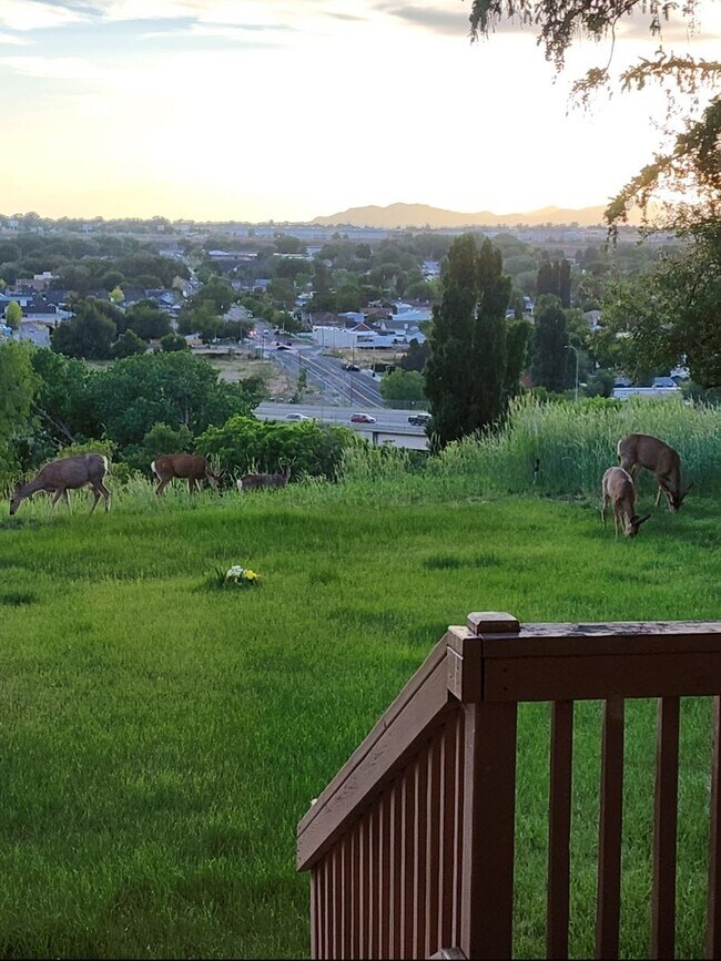 Building Photo - Beautifully updated duplex with parking and a storage shed