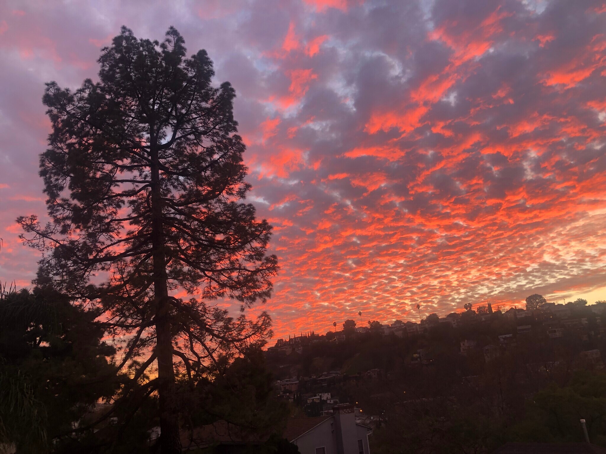 Sunset Sky - 2528 Panorama Ter