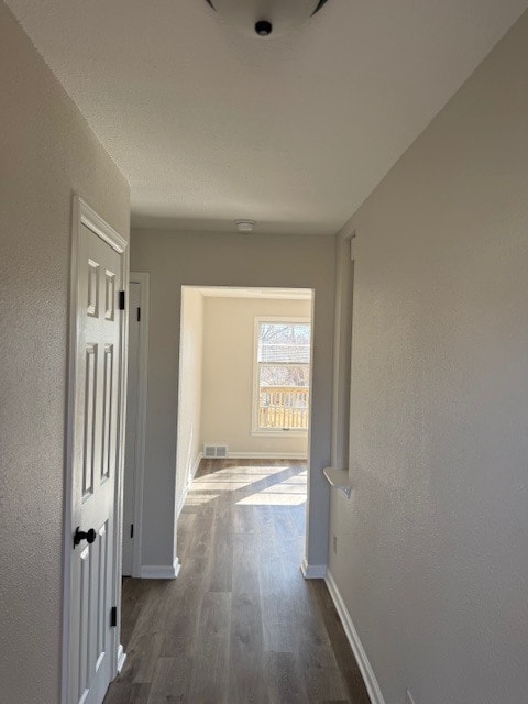 Entry Walkway - 1419 W College Ter