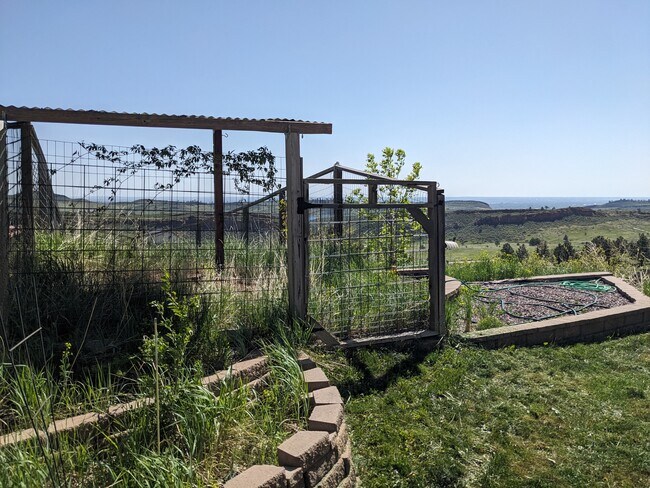 Building Photo - 6009 Blue Spruce Dr
