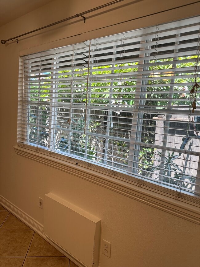 dining window - 601 S Fashion Park St