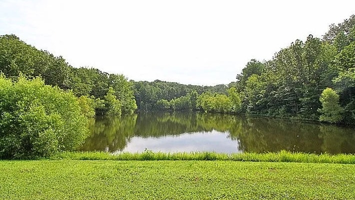 Building Photo - 264 CR 522