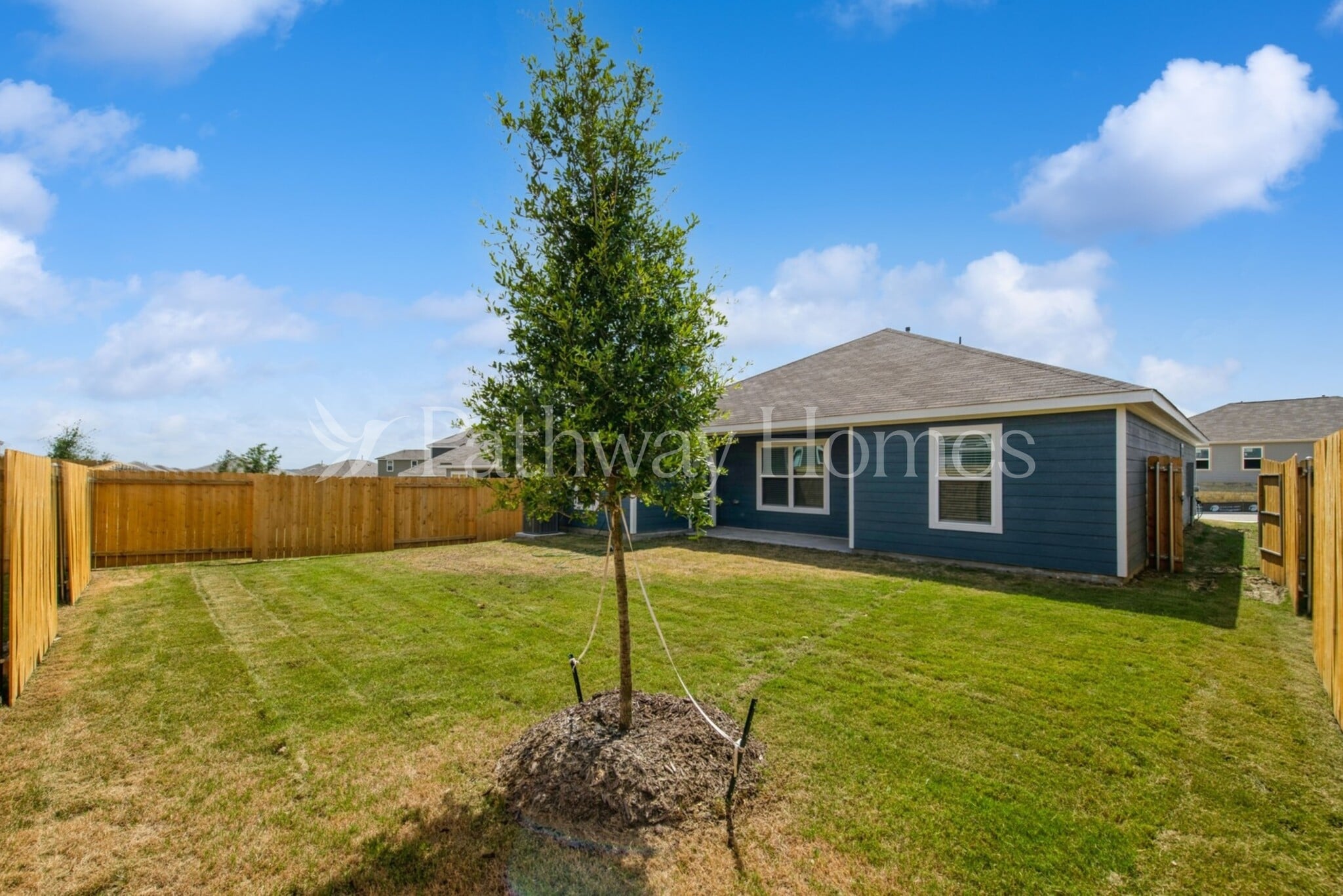 Building Photo - 905 Resting Elk St