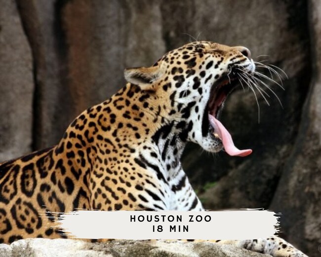 Building Photo - 11102 Hillcroft St