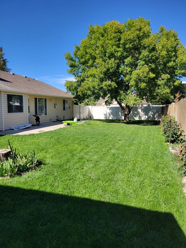 Building Photo - 222 Mansfield Ct