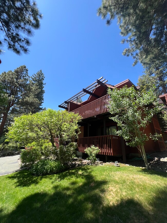 Building Photo - 557 Lakeshore Blvd