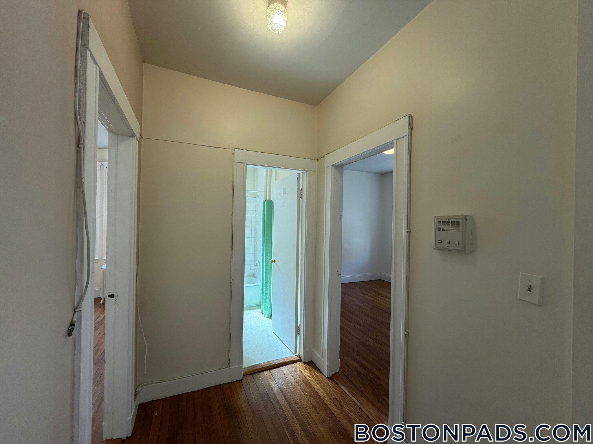 Building Photo - 229 Kelton St