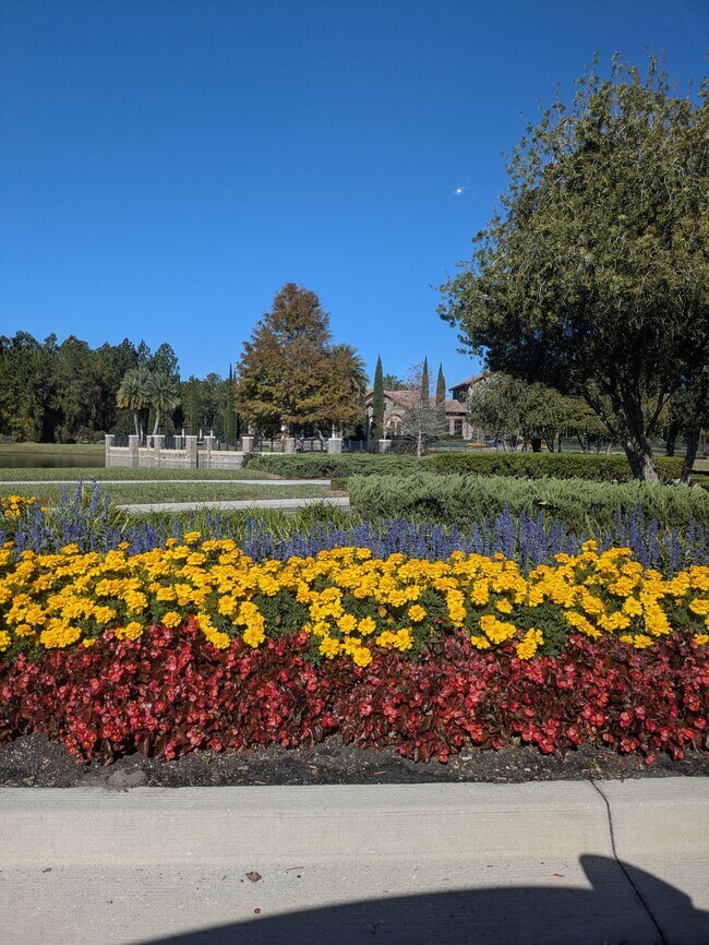 Building Photo - 78 Amalurra Trail