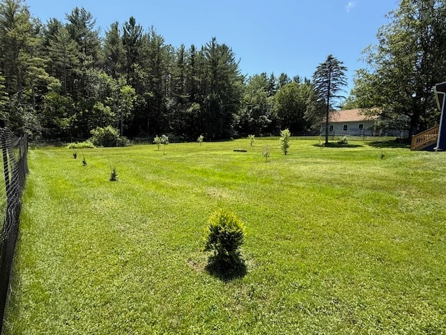 Back Yard - 178 New Lenox Rd