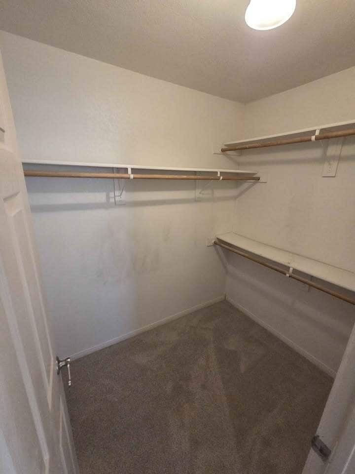 Large Walk-in closet - 1424 Shoshoni Trl