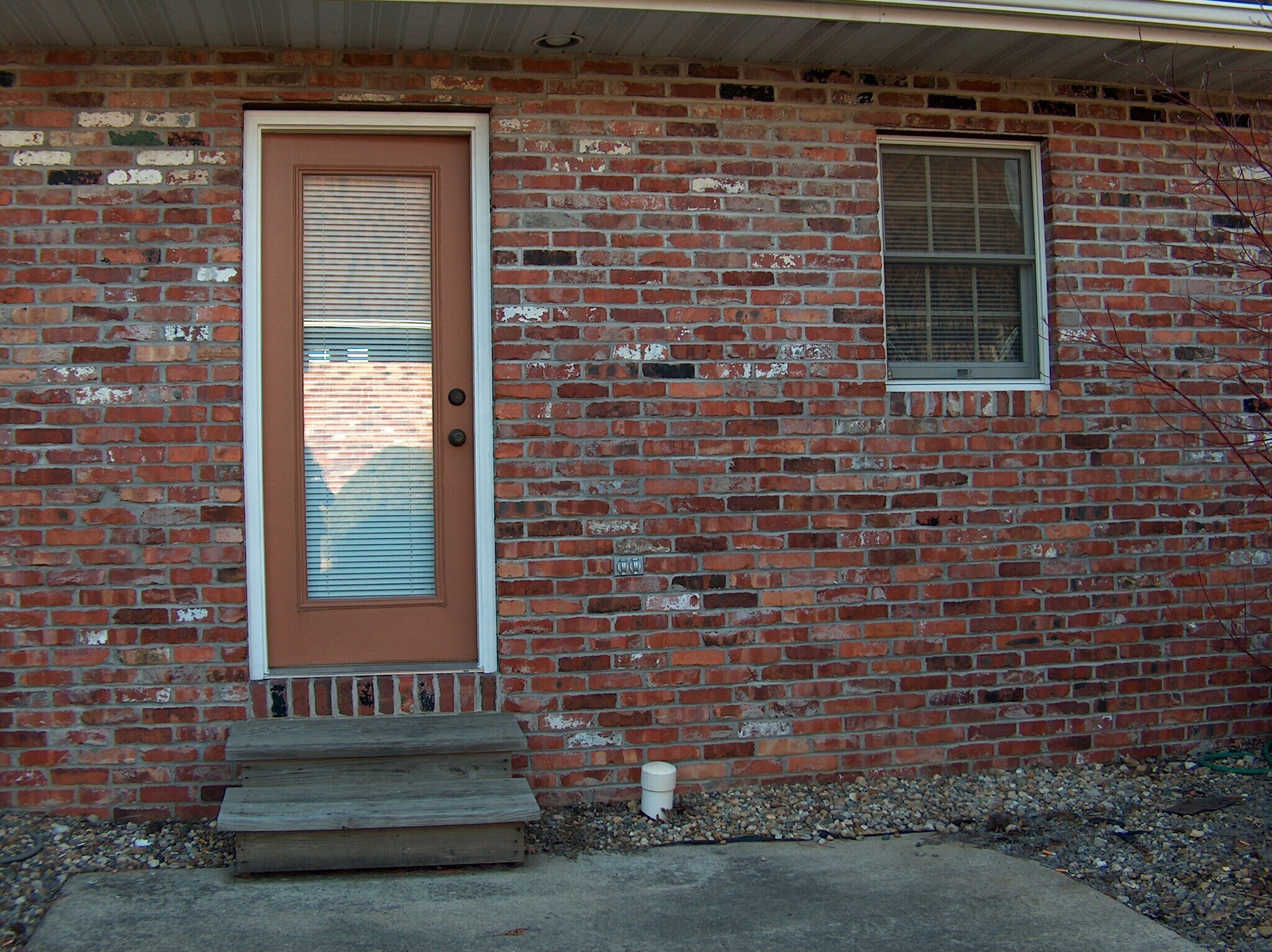 Back patio - 813 E Franklin St