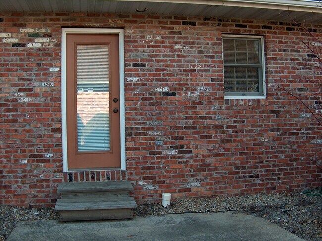 Back patio - 813 E Franklin St
