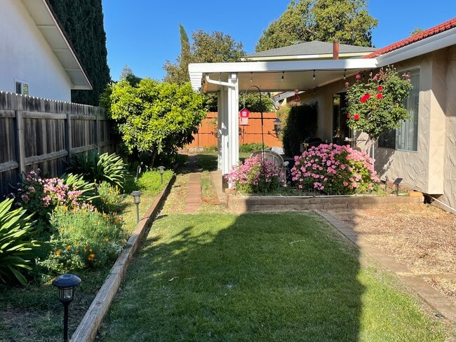 Building Photo - 2209 El Cejo Cir