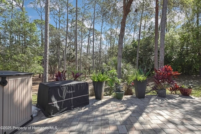 Building Photo - 6395 Pinestand Ct