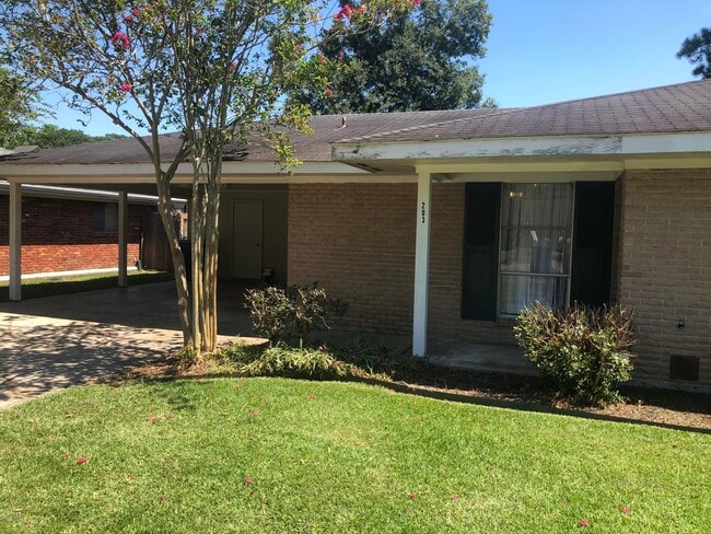 Building Photo - 203 Elmwood Dr