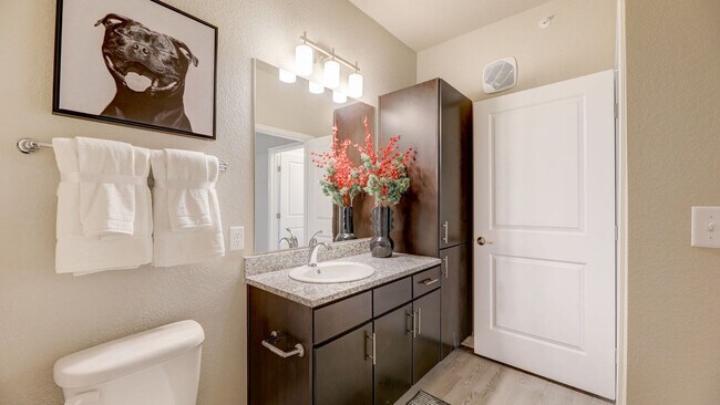 Building Photo - Springs at Stadium Village