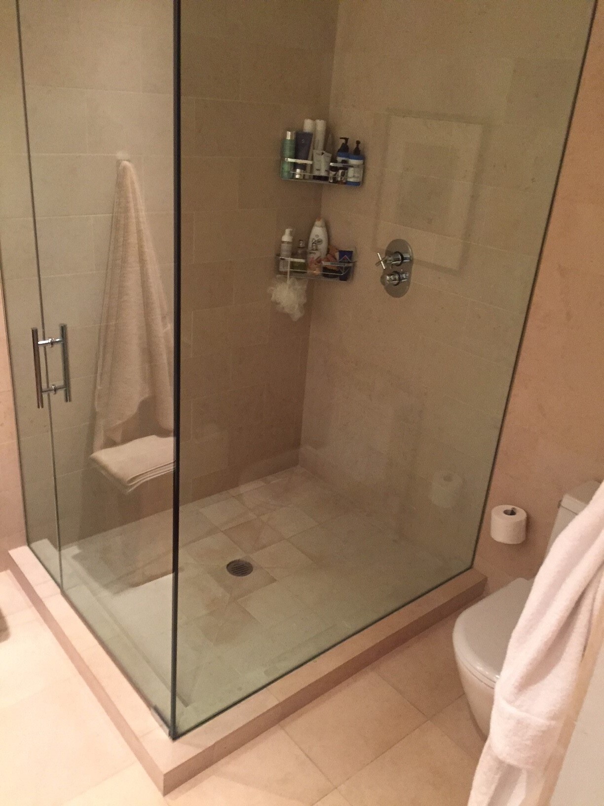 Master Bathroom - 1419 N State Pkwy