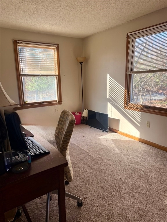 Building Photo - 567 Mendon Rd