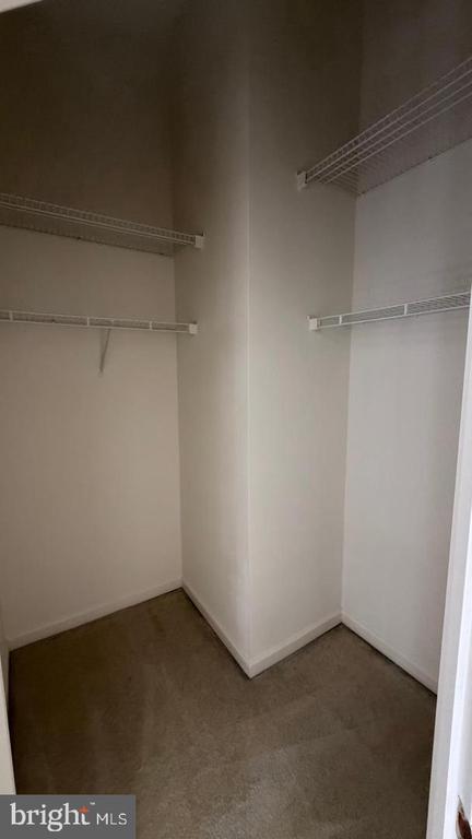 Building Photo - 13643 St Johns Wood Pl
