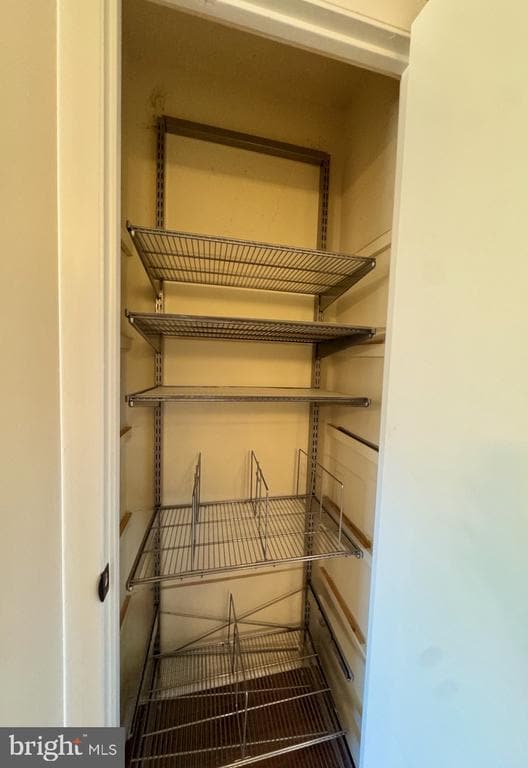 Building Photo - 3885 Steppes Ct