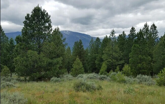 Building Photo - Cozy 1-Bed Cabin on 30 Private Acres – Incredible Views & Outdoor Access