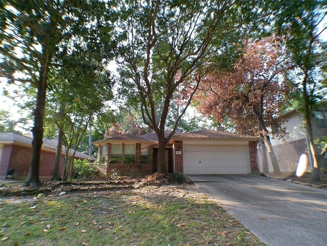 Primary Photo - 35 Windswept Oaks Pl