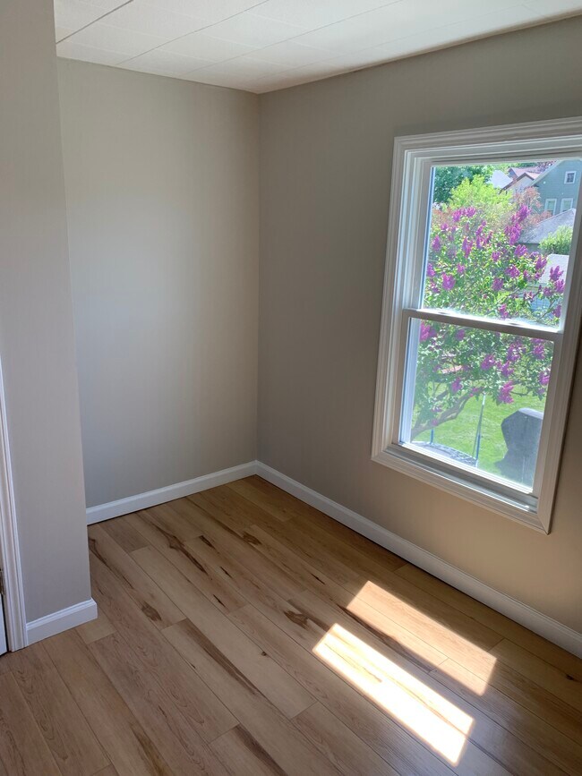 Small office - 211 Ulster St
