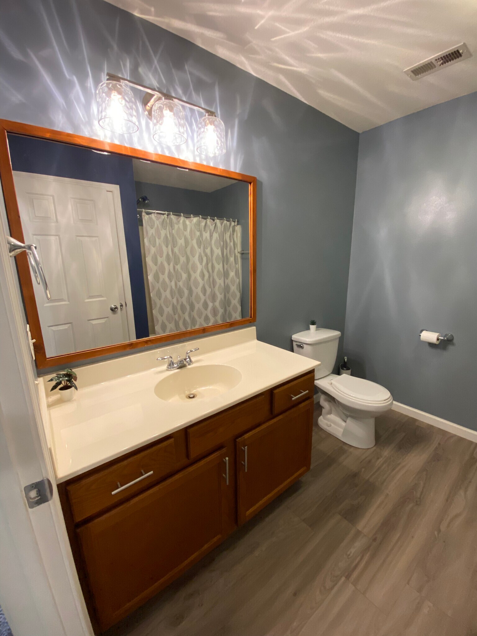 Hall bath w. large vanity - 12 Brookside Cir