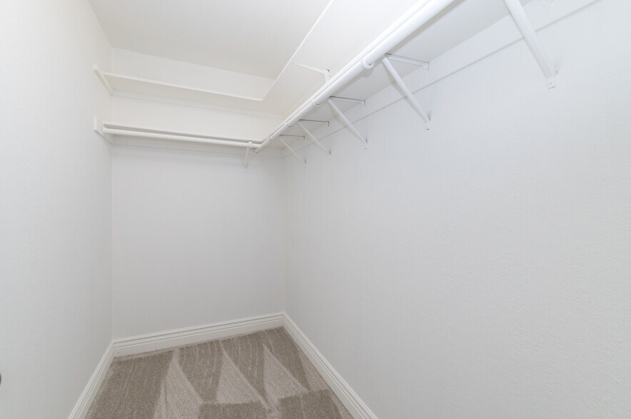 Walk in closet in primary - 1105 Shady Creek Pl