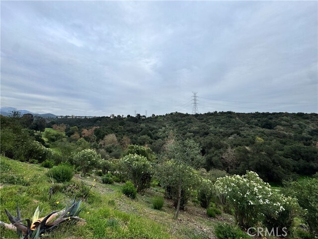 Building Photo - 2142 Iron Club Dr