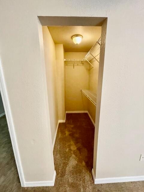 Building Photo - 1109 Tiki Too Ave