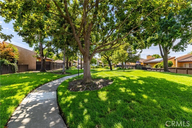 Building Photo - 53 Del Sol Ct