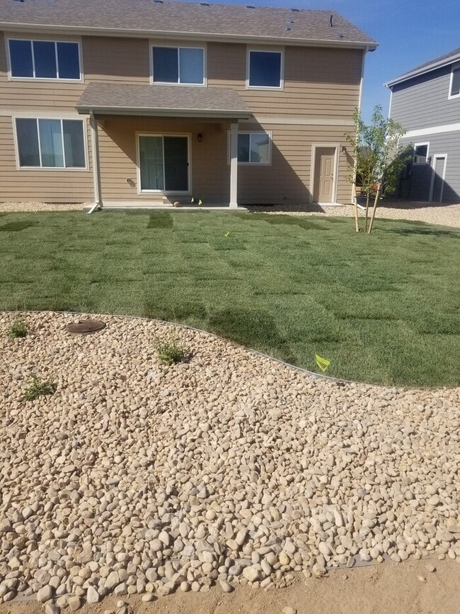 Building Photo - Lovely 2 Story Home in Windsor's Raindance Community! Corner Lot!