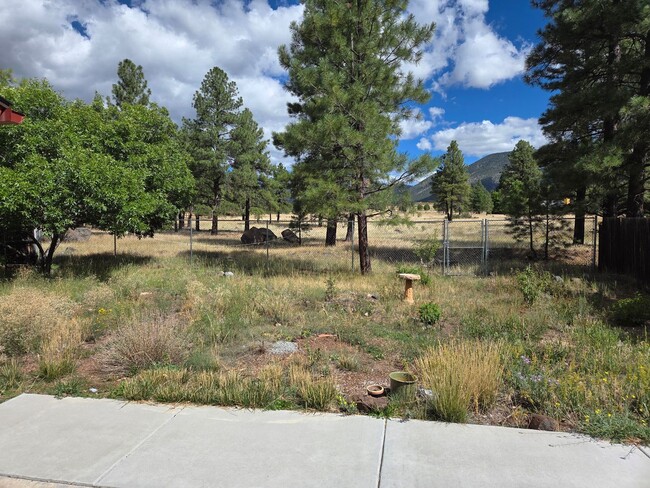 Building Photo - McMillan Mesa Home | Mt. Elden Views | Bac...