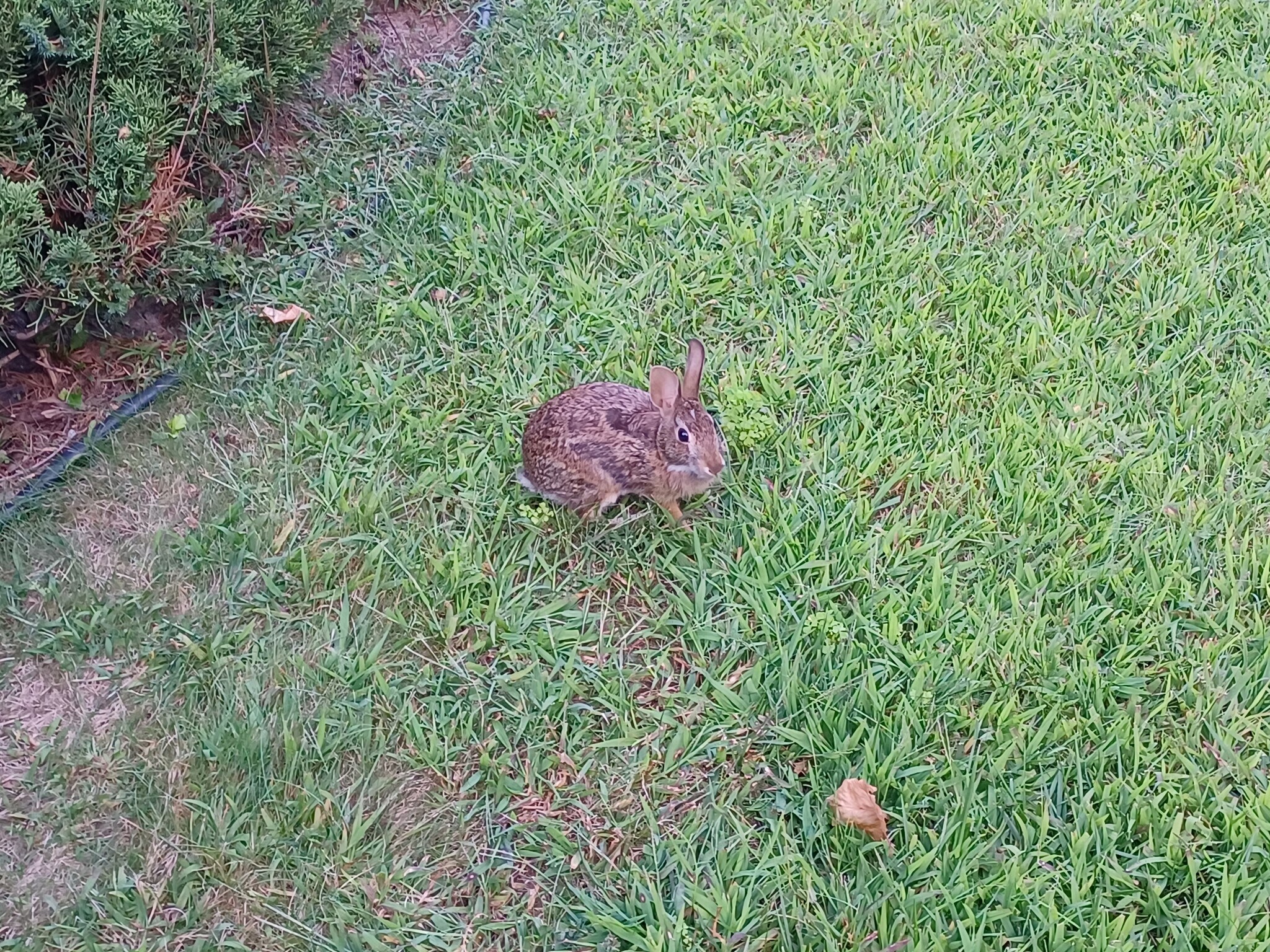 Building Photo - 268 Bond St