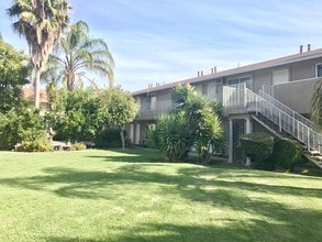 Building Photo - Olive Tree Apartments