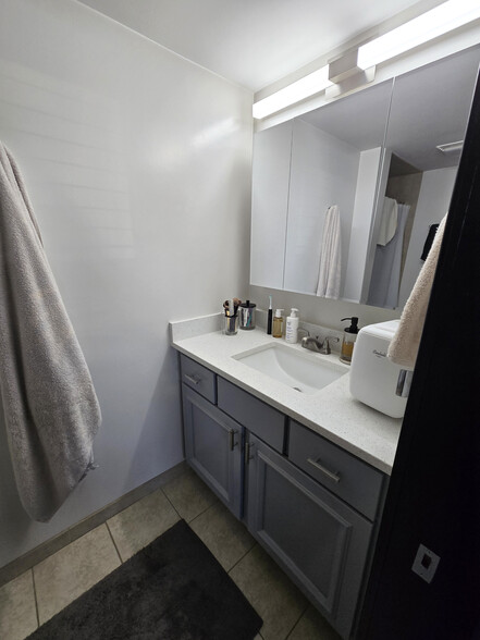 Master bath sink - 209 Kimbell Ave