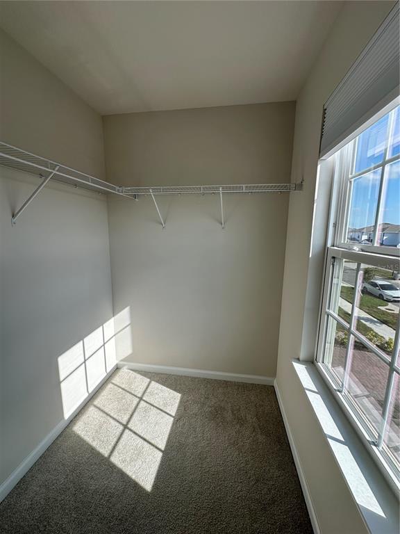 Building Photo - 3785 Blue Mountain Wy