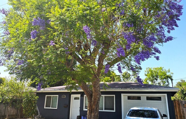 Building Photo - Gorgeous Remodeled 2 Bedrooms, 1 Bath Hous...