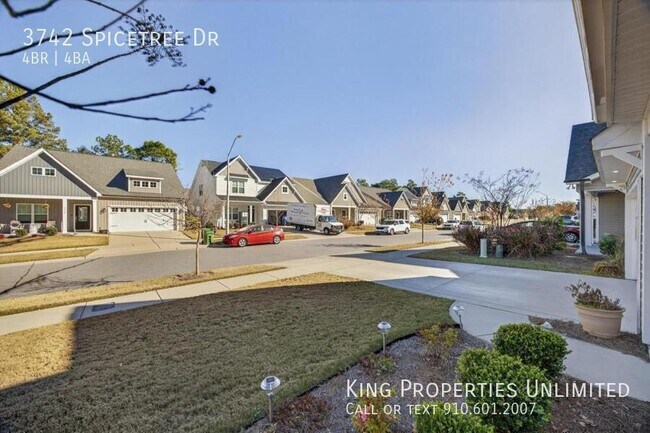 Building Photo - 3742 Spicetree Dr