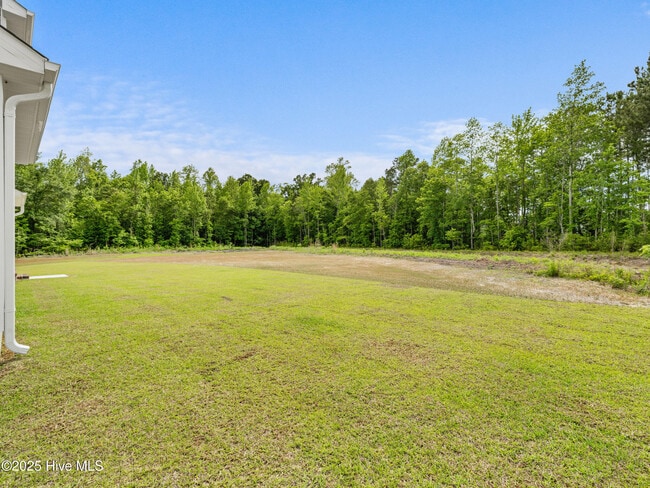 Building Photo - 908 Freewoods Ct