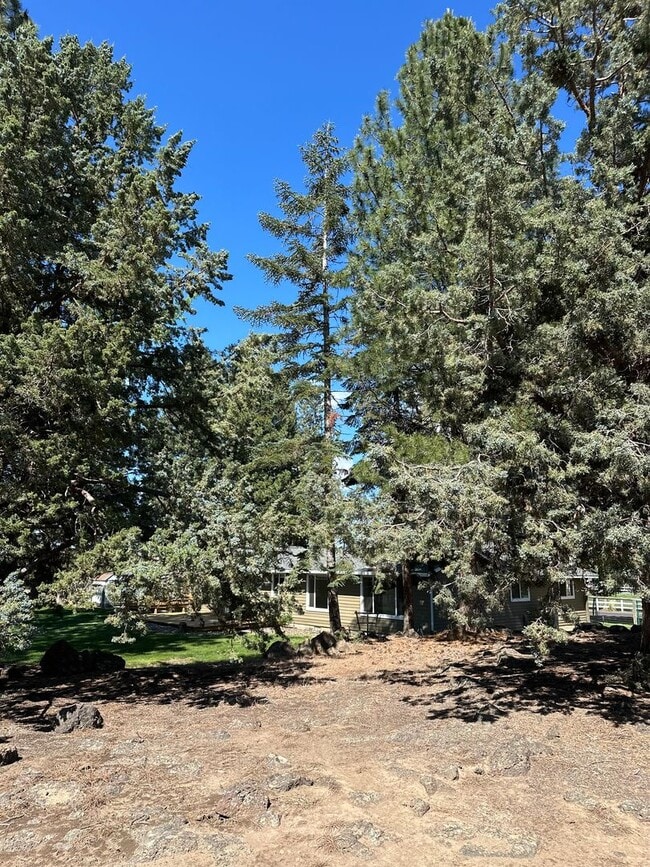 Building Photo - 3 Bed | 2 Bath | 1.17 Acres | Single-Level Home | Mountain Views