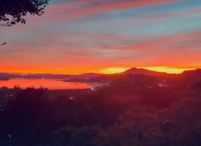 Building Photo - 114 San Marino Dr