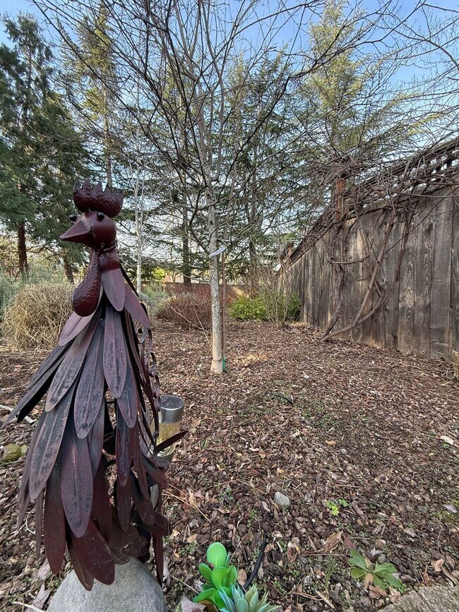 Building Photo - One bedroom/One Bath Apartment with outdoor space on quiet flag lot!  Available Now