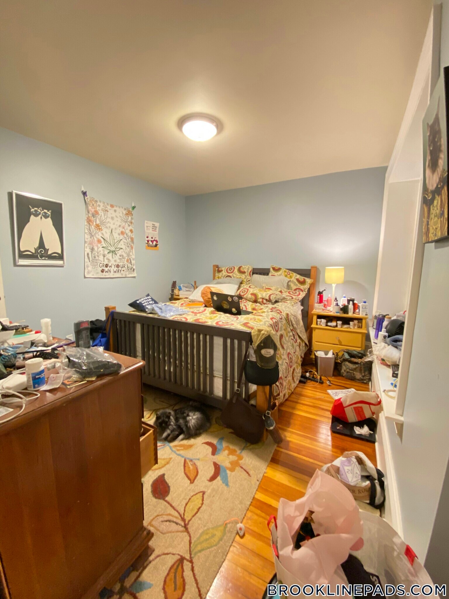 Building Photo - 1463 Beacon St