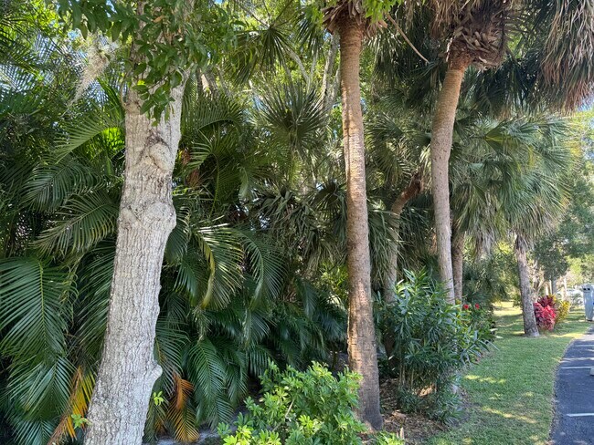 Building Photo - 600 Royal Palm Blvd