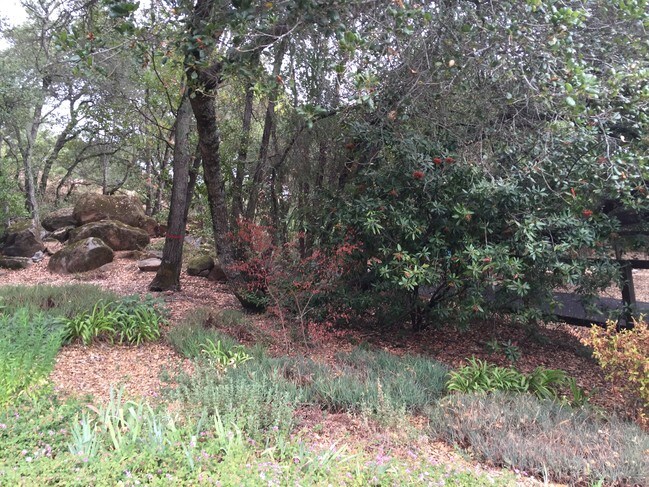 Building Photo - 17389 Gehricke Rd